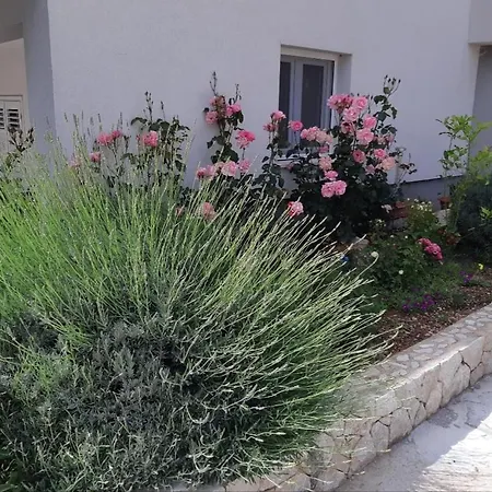 Apartmani Jelena *